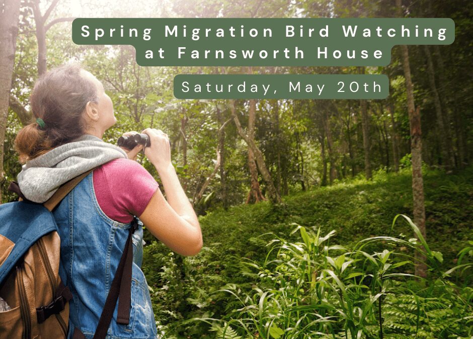 Spring Migration Bird Watching at Farnsworth House