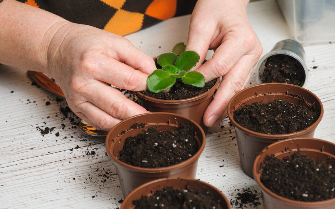 Spring Gardening Workshop