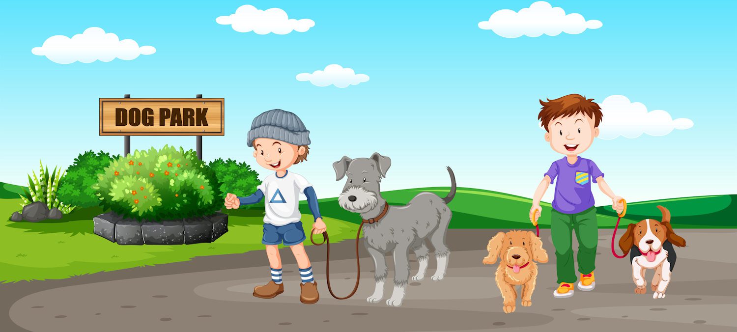 People walking dog at the park illustration